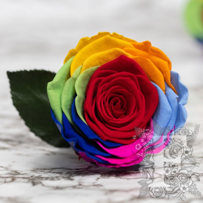 Rainbow