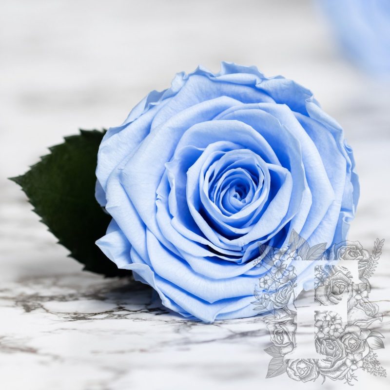 Sky blue