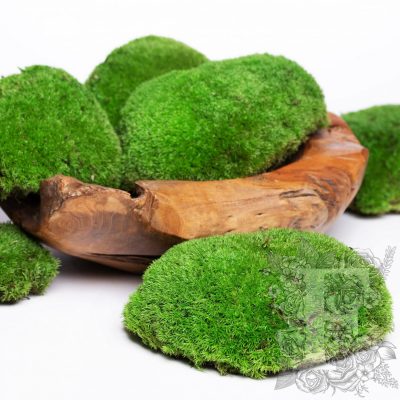 Ball Pole Moss - jumbo - Bulk - 1.2kg