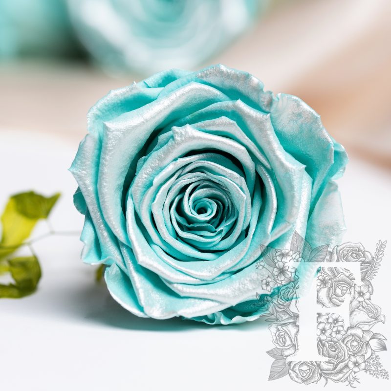 Satin Tiffany