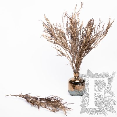 Grevilia - Bunch