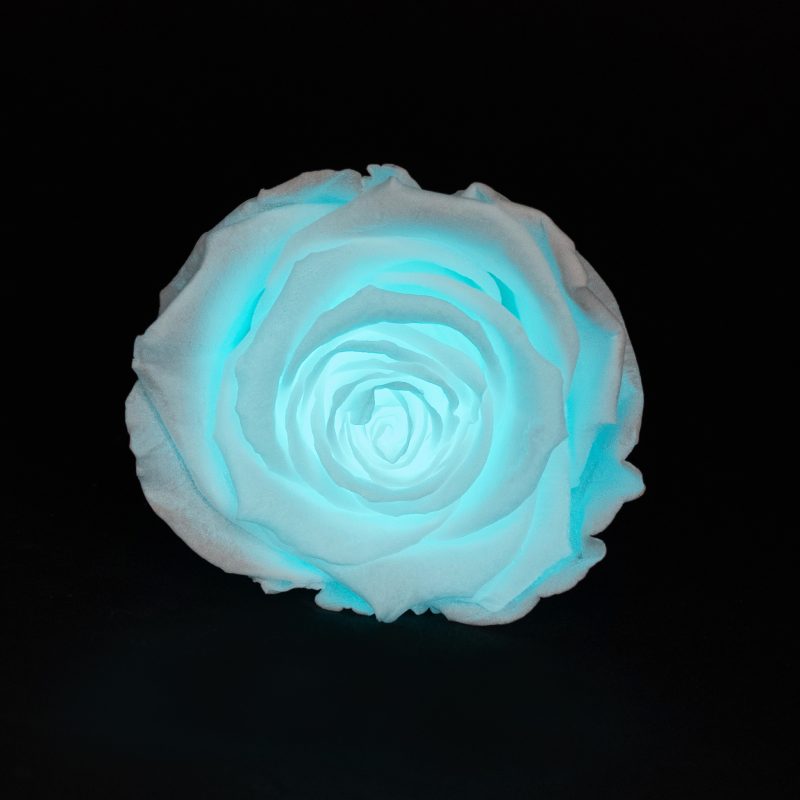 Blue glow