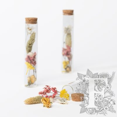 Dried flower - glass vial with cork - Medium