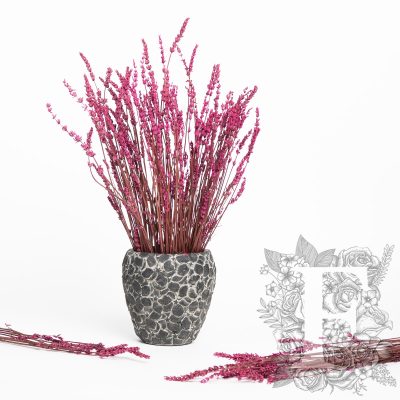 Lavander - Bunch - Pink