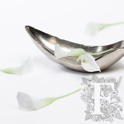 Calla Lily - Ombre - 5 Heads