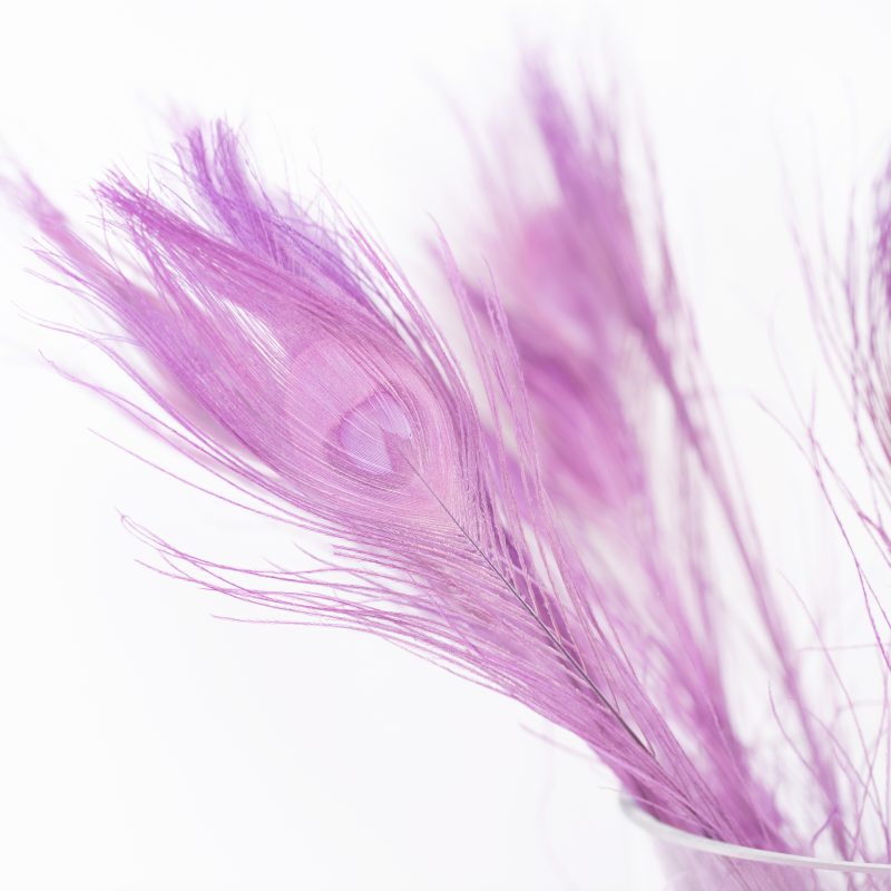 lilac
