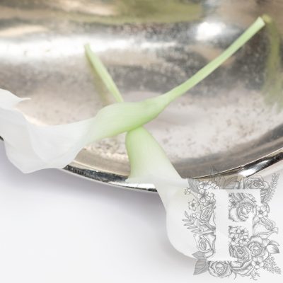 Calla Lily - Ombre - 5 Heads