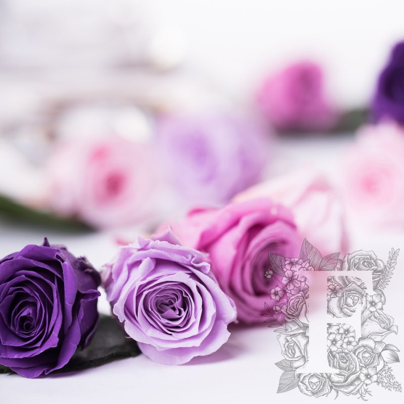 Purples