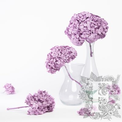Premium Hydrangea - Stem