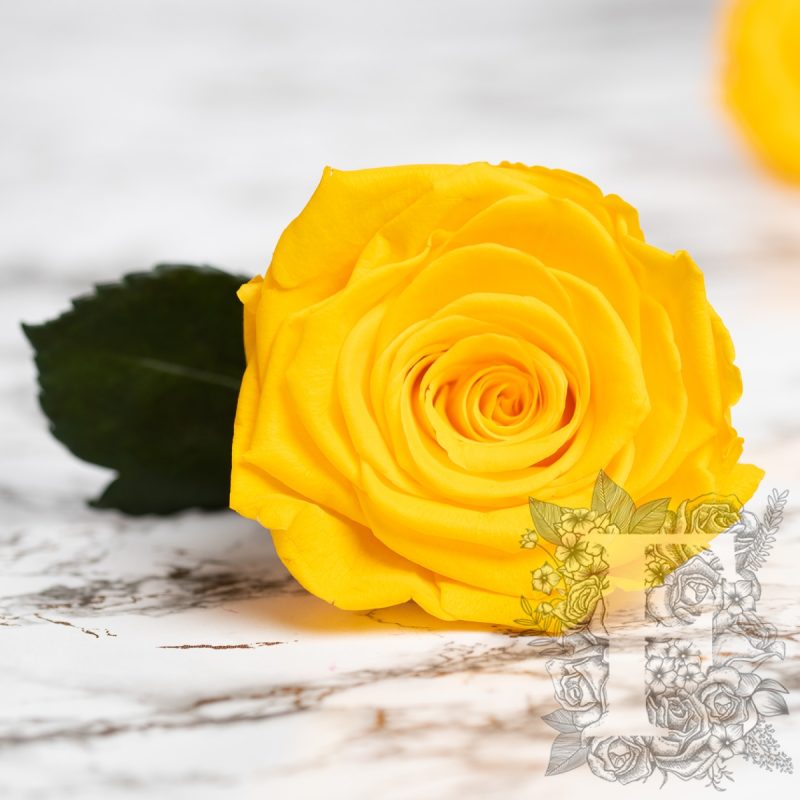 Saffron Yellow