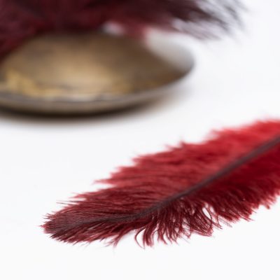 Ostrich Feather - Pack of 3 - Red