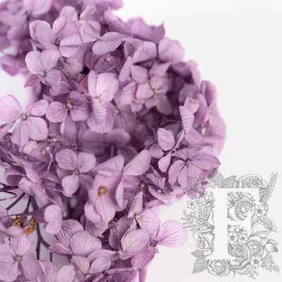 Premium Hydrangea - Stem