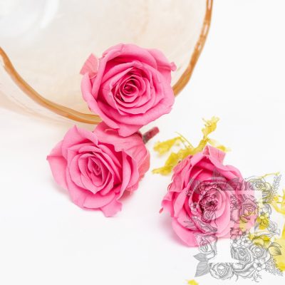 Rose Mimi - Petite - 9 heads