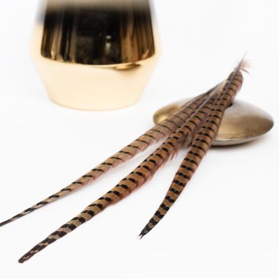 Pheasant Feathers - Pack of 3