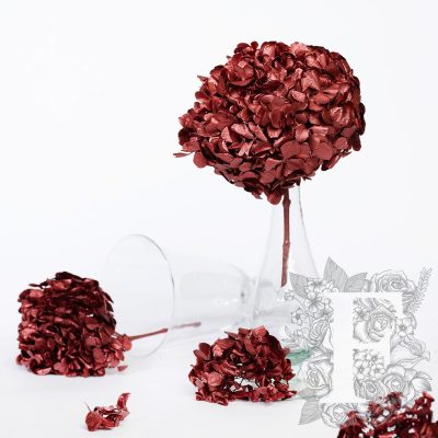 Fora exclusive - Premium Hydrangea - Stem