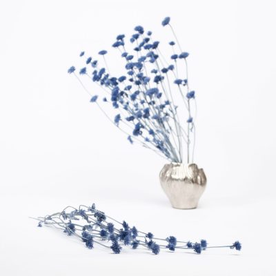 Kurumabana - Bunch