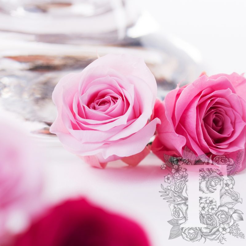 Pinks