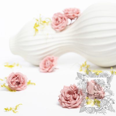 French Rose Majolica - 6 Heads
