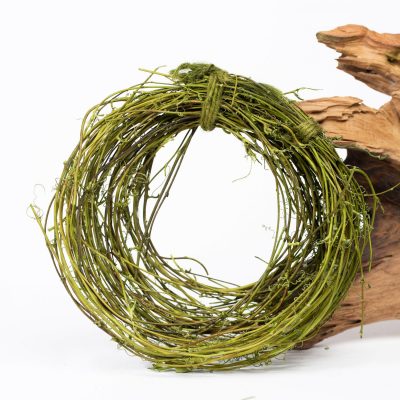 Sanwee Vine - Reel
