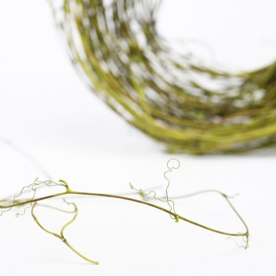 Sanwee Vine - Reel