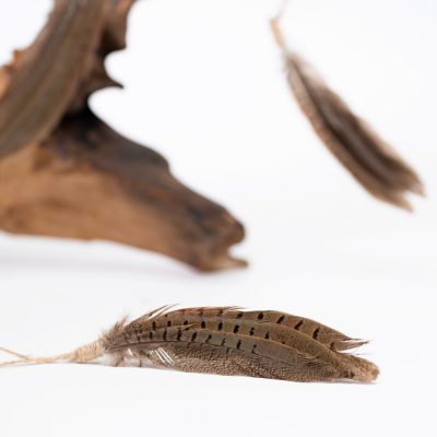 Hang Chimu Feather - Pack of 3