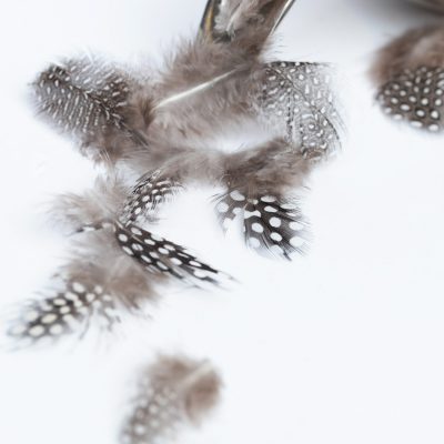 Pearl Hen Small Feathers bag