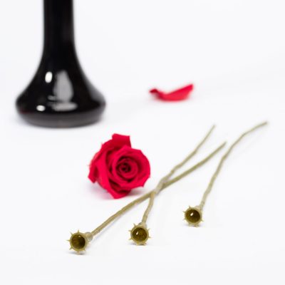 Artificial Stem - Long - 25 Pack