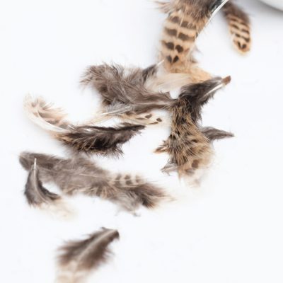 Phesant Small Feathers Bag