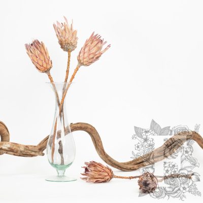 Ice Flower - 3 stems