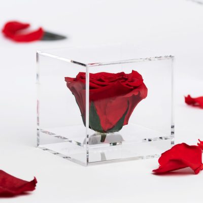 Gift Box - Acrylic - Large