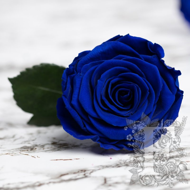 Sapphire blue
