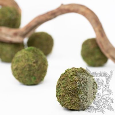 Moss Sphere - Small