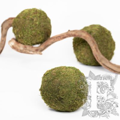 Moss Sphere - Large