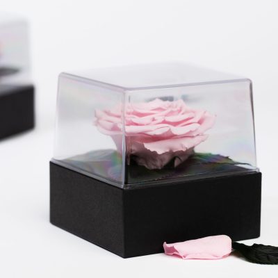 Gift Box Classic