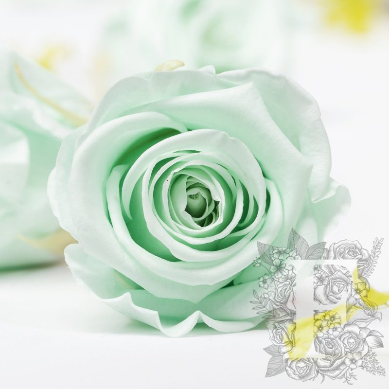 Satin Tiffany