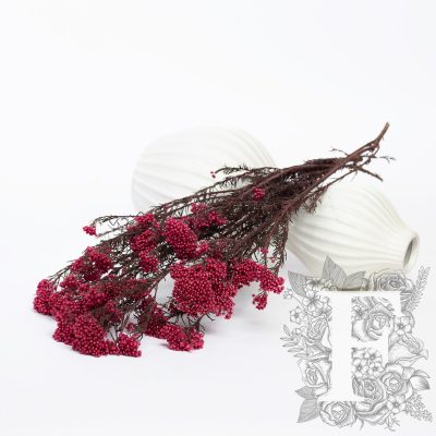 Rice Flower - Bunch