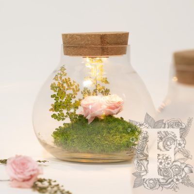 Cork top - Glass jar - LED