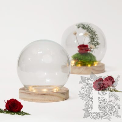 Globe Bell Jar - LED -light up