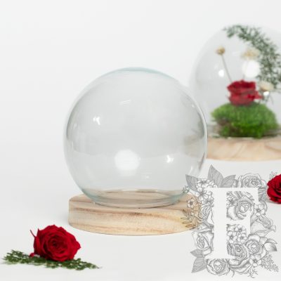 Globe Bell Jar - LED -light up