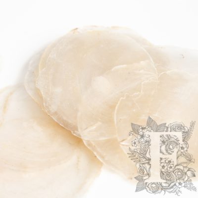 Capis Shells - Bag - 500g