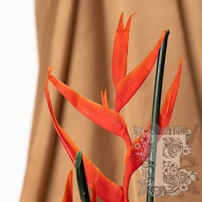 Stralitzia- Bird of Paradise -Stem