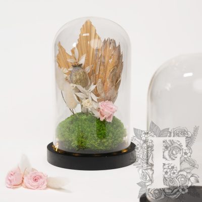 Bell jar - LED - Large