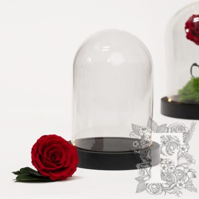 Bell jar - LED - Medium