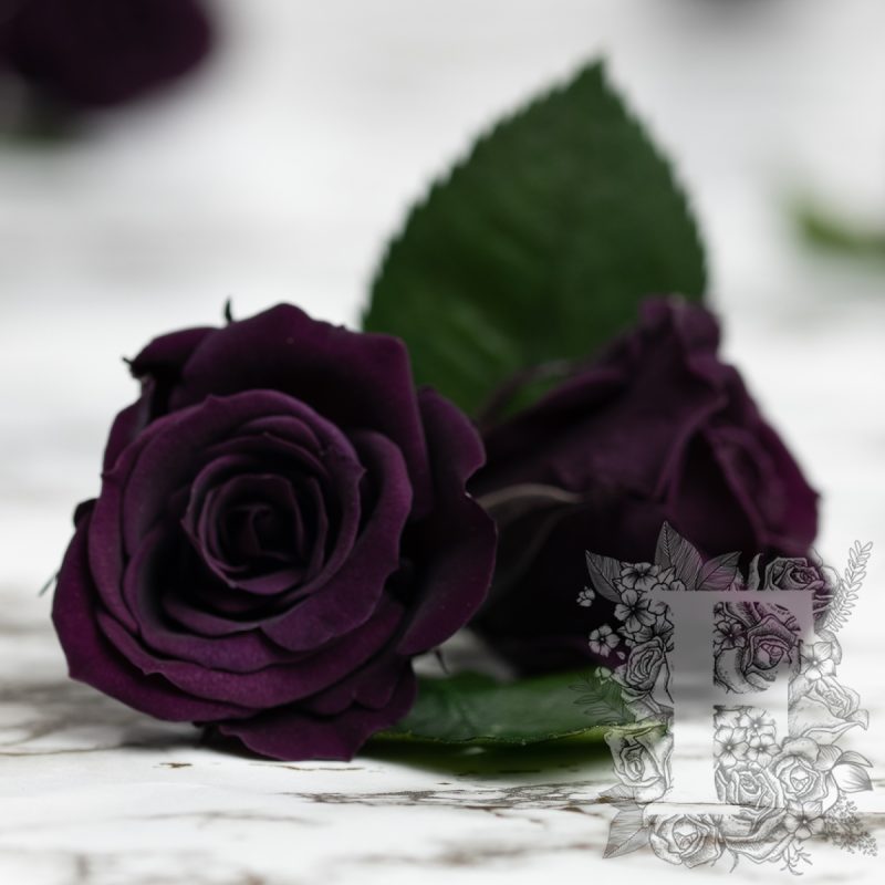 Violet