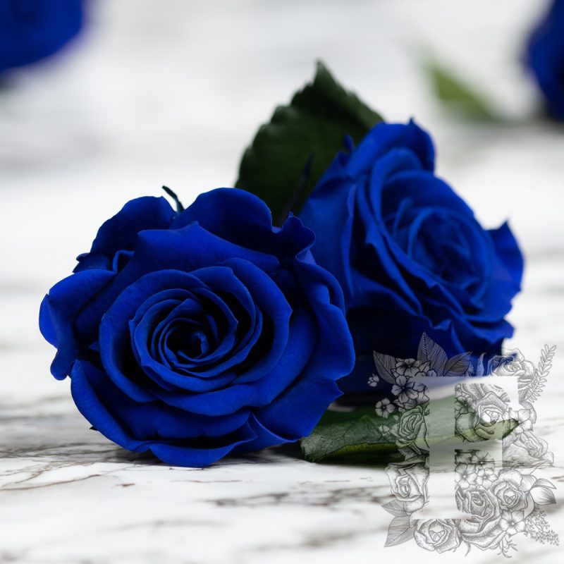 Sapphire blue