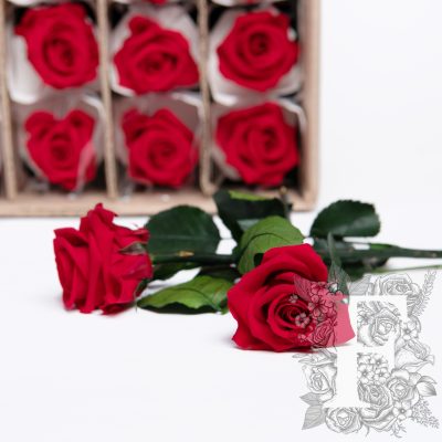 27.5CM Rose with stem - 25 Stem Bulk