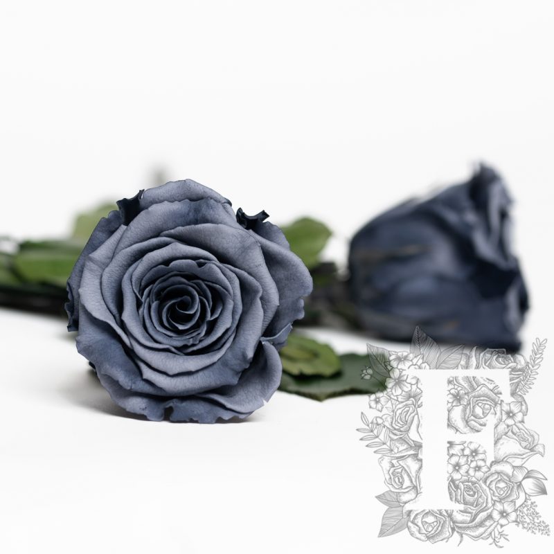 Grey-01