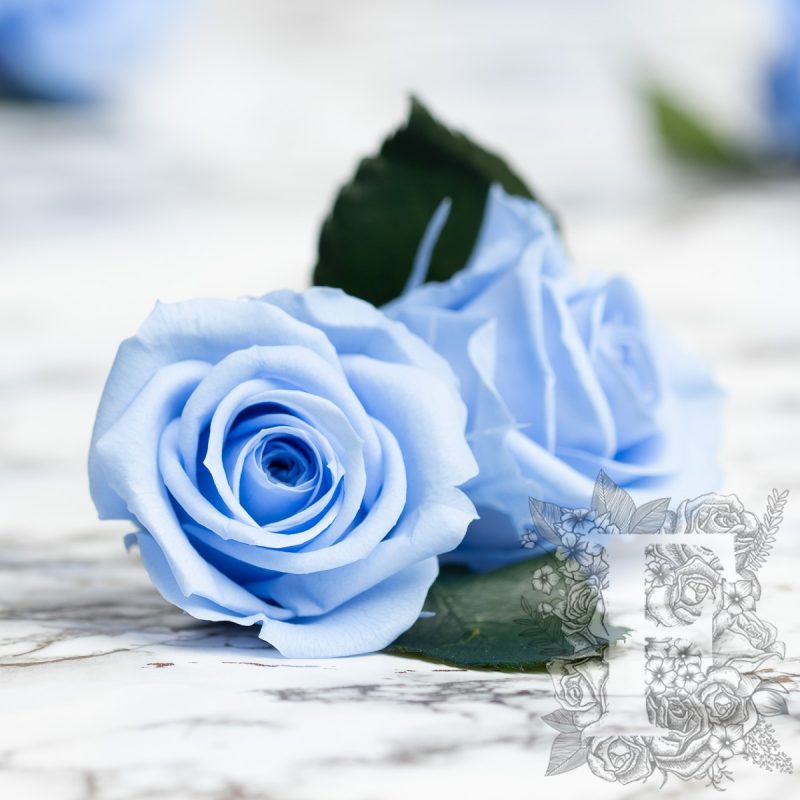 sky blue