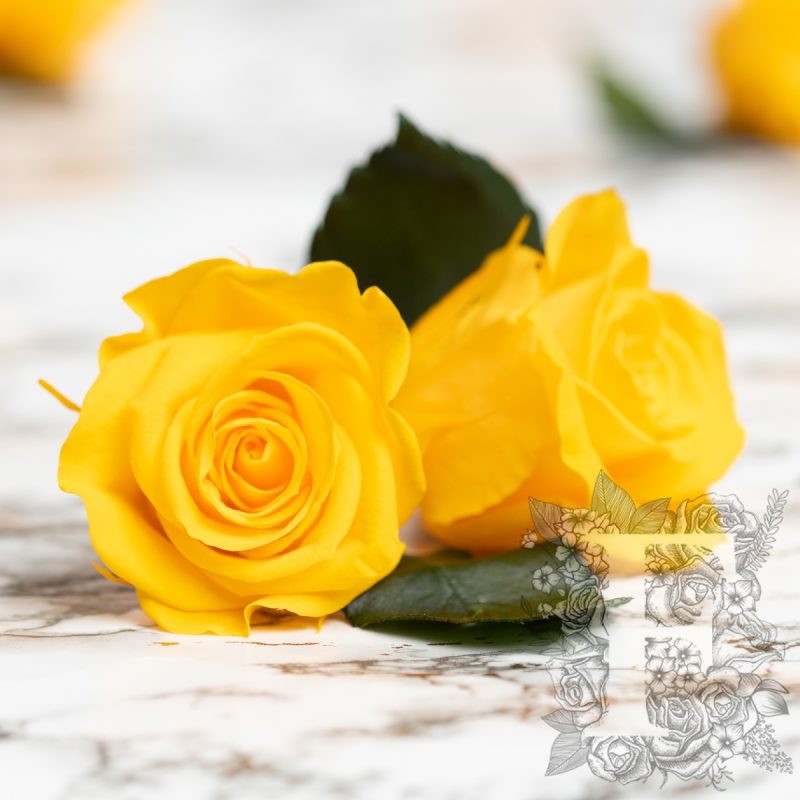 Saffron yellow