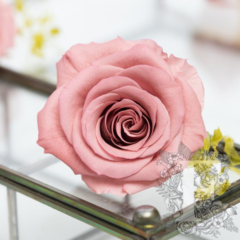 Romantic pink